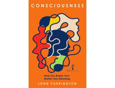 Consciousness: How Our Brains Turn Matter into Meaning