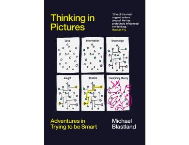 Thinking in Pictures: Adventures in Trying to be Smart