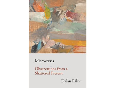 Microverses: Observations from a Shattered Present