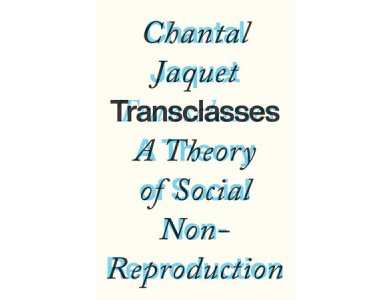 Transclasses: A Theory of Social Non-Reproduction