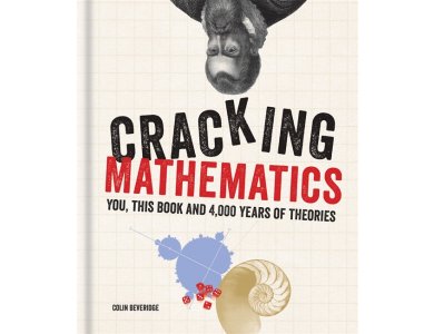 Cracking Mathematics: You, This Book and 4,000 Years of Theories