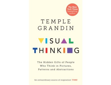 Visual Thinking: The Hidden Gifts of People Who Think in Pictures, Patterns and Abstractions