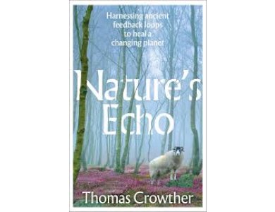 Nature's Echo: Harnessing Ancient Feedback Loops to Heal a Changing Planet