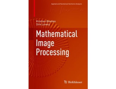 Mathematical Image Processing