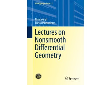 Lectures on Nonsmooth Differential Geometry