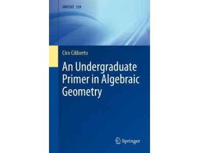 An Undergraduate Primer in Algebraic Geometry