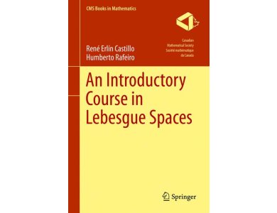 An Introductory Course in Lebesgue Spaces