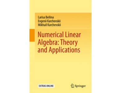 Numerical Linear Algebra: Theory and Applications