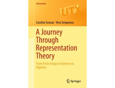 A Journey Through Representation Theory: From Finite Groups to Quivers via Algebras